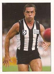 1990 Select AFL Stickers #47 Tony Shaw Front